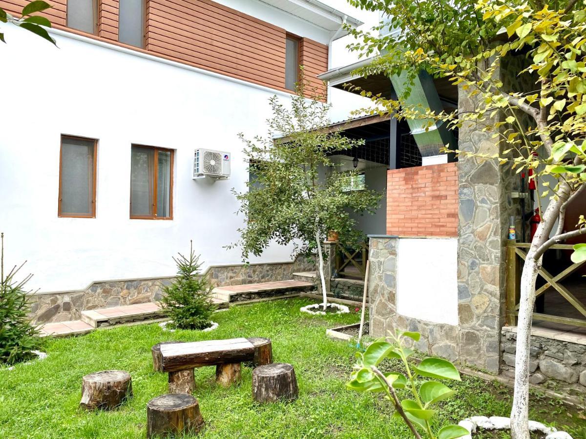 Gabala Sweet Lounge Villa Bagian luar foto