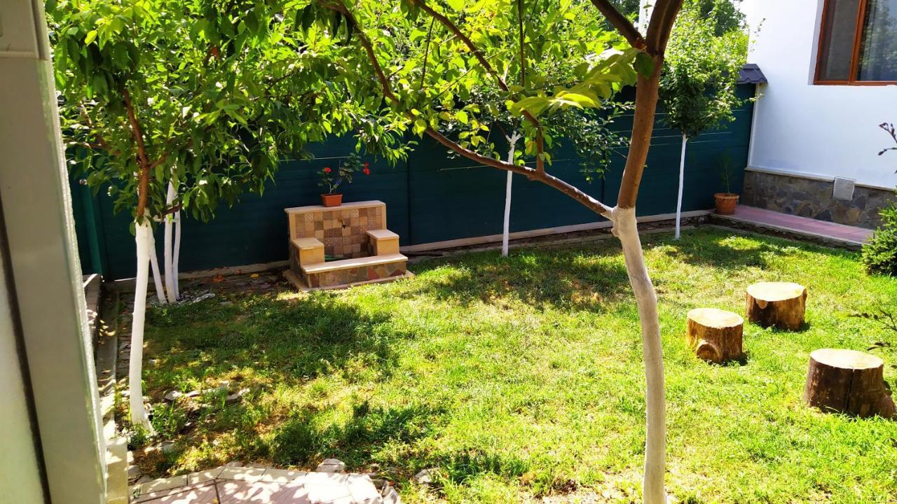 Gabala Sweet Lounge Villa Bagian luar foto